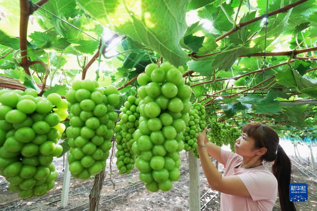 星光娱乐游戏靠谱吗