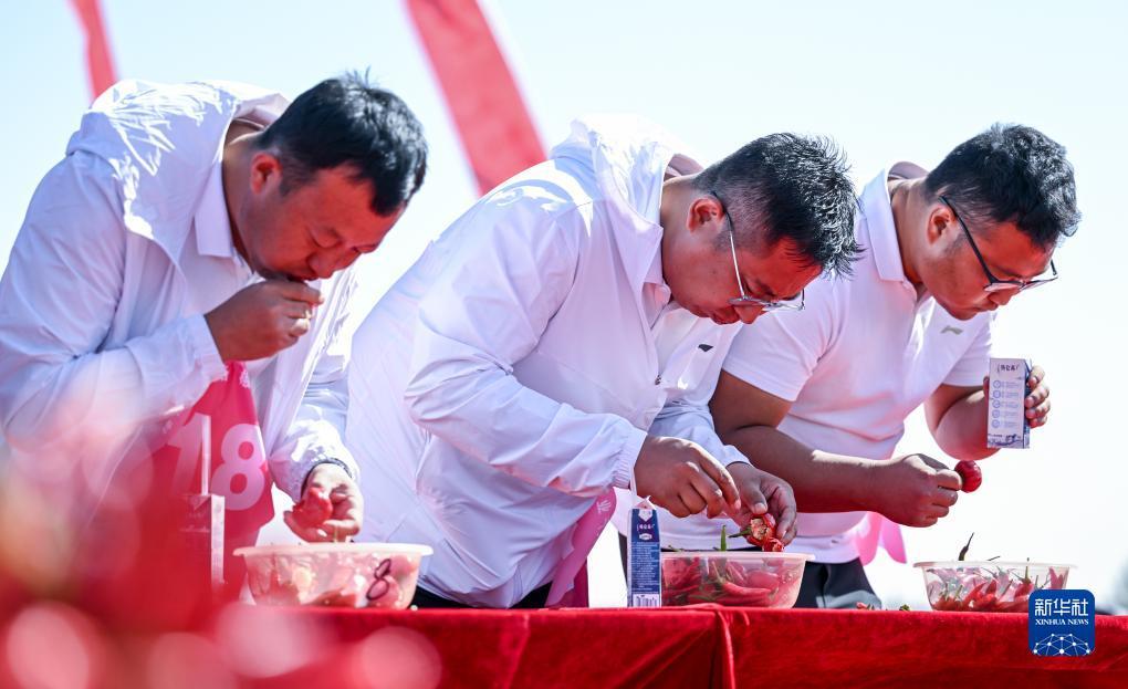 申博百家乐下载